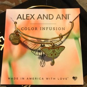 Alex and Ani color infusion bracelet